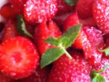 Erdbeeren mit Erdbeerminze-Vanille- Soße - Rezept - Bild Nr. 2