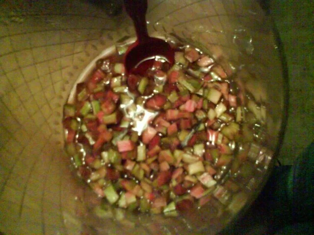 Rezept: Rhabarberlikör Bild Nr. 4 Rhabarberlikör - Rezept - Bild Nr. 4