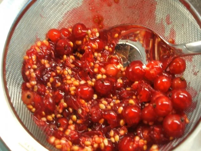 Vorrat: Rote Johannisbeeren - Verwertung - Rezept - Bild Nr. 2