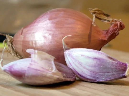 Gefüllte Sweet-Paprika - Rezept - Bild Nr. 2