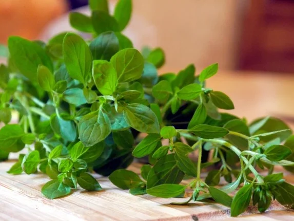 Gefüllte Sweet-Paprika - Rezept - Bild Nr. 3