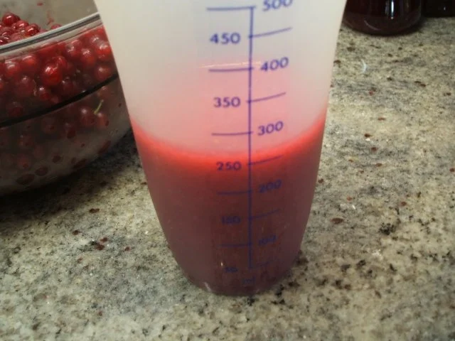 Dessert: Trostpflaster - Schoko-Mousse liebt Johannisbeergelee - Rezept - Bild Nr. 4