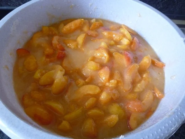 Aprikosenmarmelade - Rezept - Bild Nr. 3
