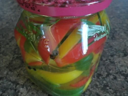 Eingelegter Paprika - Rezept - Bild Nr. 6