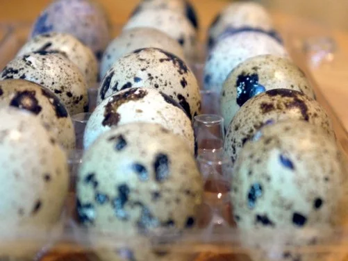 Rezept: Geflügelter Blätterteig Bild Nr. 10 Geflügelter Blätterteig - Rezept - Bild Nr. 10