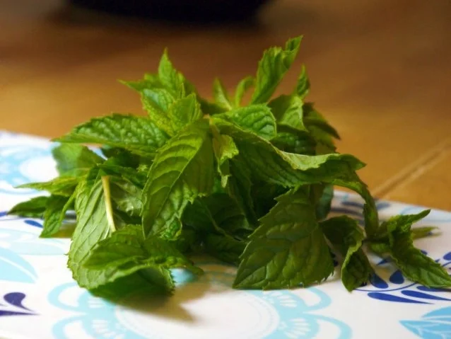 Peppermint meets Strawberry - Rezept - Bild Nr. 5