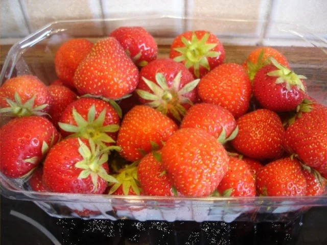 Erdbeermilch - Rezept - Bild Nr. 2