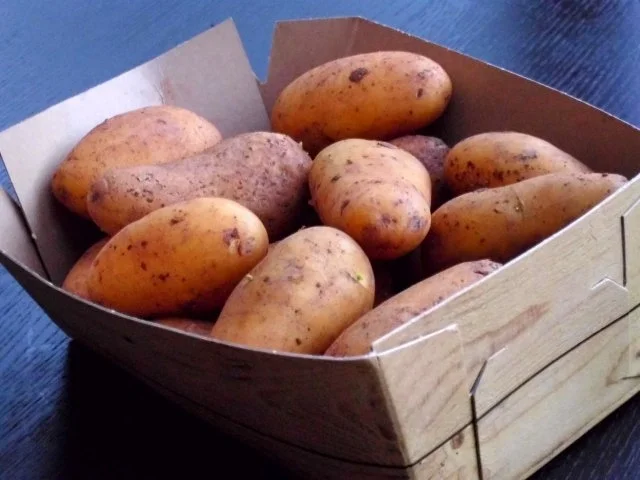 Kabeljaupflanzerl mit Drillingen und Aioli - Rezept - Bild Nr. 2