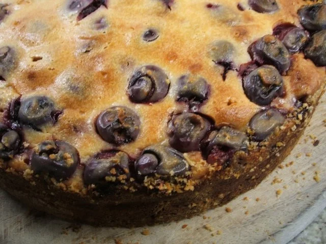 Backen: Kirschenkuchen mit Schokoboden - Rezept - Bild Nr. 2