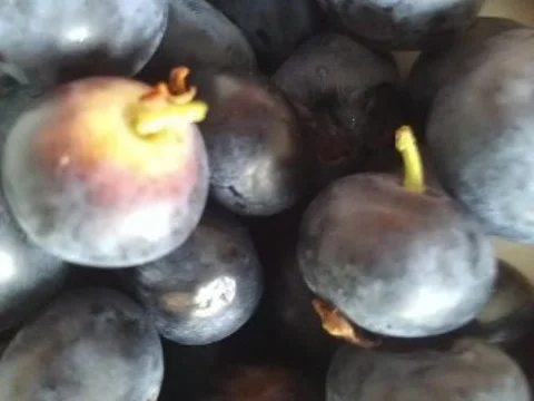 Mascarponecreme mit frischen Beeren - Rezept - Bild Nr. 12