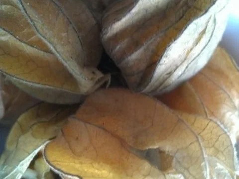 Mascarponecreme mit frischen Beeren - Rezept - Bild Nr. 14