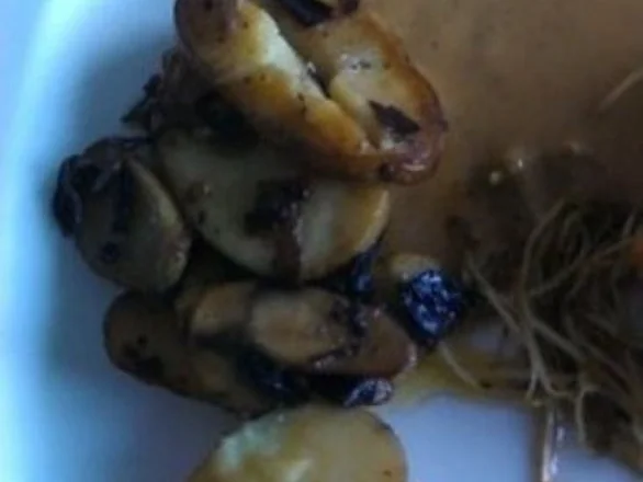 Kartoffelscheiben mit Radicchio - Rezept - Bild Nr. 23