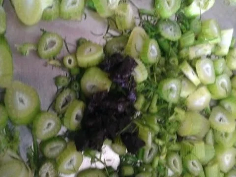 Rezept: Schwarzer Knoblauch Fenchelsosse Bild Nr. 13 Schwarzer Knoblauch Fenchelsosse - Rezept - Bild Nr. 13