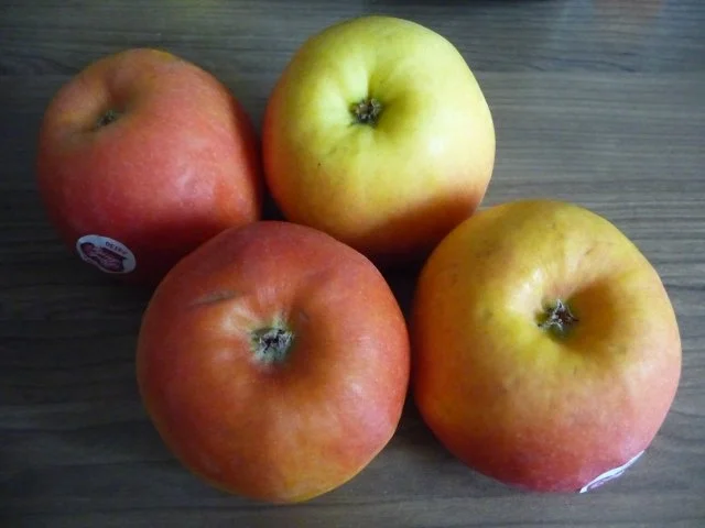 Tööörrrööö Tööörrrööö mein 600. Rezept - Rezept - Bild Nr. 7