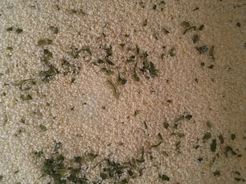 Seeteufel im Mantel à la Biggi - Rezept - Bild Nr. 24