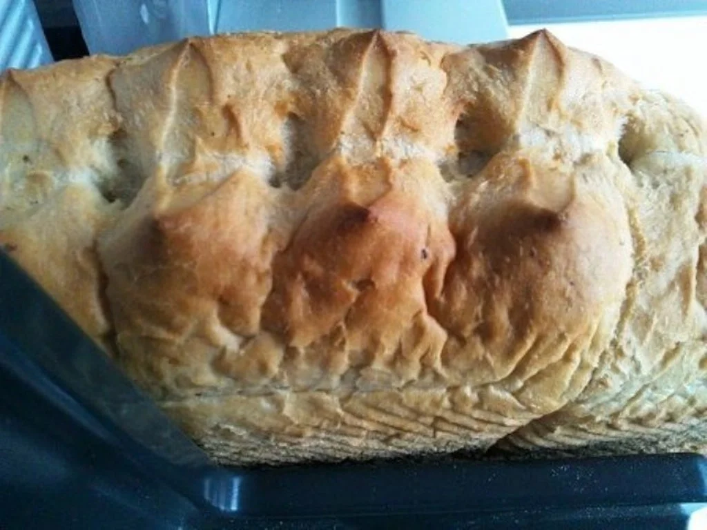 Aioli Petersilien Panade (500 Gramm) Paniermehl - Rezept - Bild Nr. 10