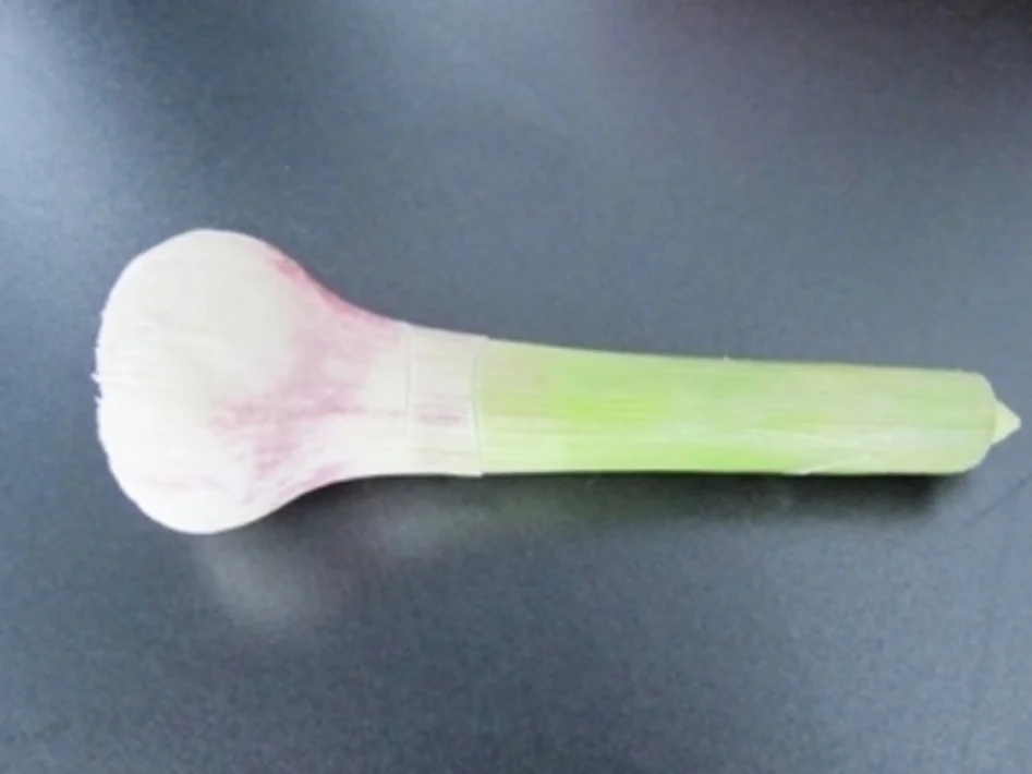 Aioli Petersilien Panade (500 Gramm) Paniermehl - Rezept - Bild Nr. 12