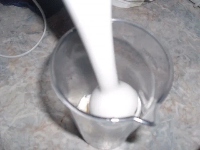 Rezept: Ananas-Schaum und Oliven-Eier-Dip Bild Nr. 4 Ananas-Schaum und Oliven-Eier-Dip - Rezept - Bild Nr. 4