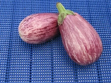 Rezept: Putenfiletspitzen mit Spicy Gemüsemix à la Biggi Bild Nr. 12 Putenfiletspitzen mit Spicy Gemüsemix à la Biggi - Rezept - Bild Nr. 12