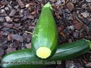 pikantes Zucchini Chutney - Rezept