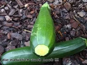 pikantes Zucchini Chutney - Rezept