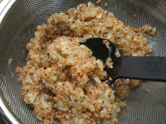 Getränke: "Dunkles Kinder-Weizen" - Rezept - Bild Nr. 3