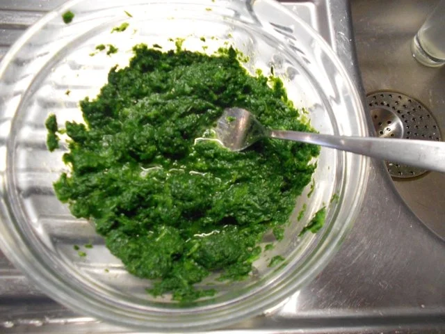 Ravioli mit Spinat Ricotta Füllung in Käsesoße - Rezept - Bild Nr. 17