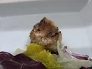 Knurrhahn mit Radicchio-Fenchelsalat - Rezept