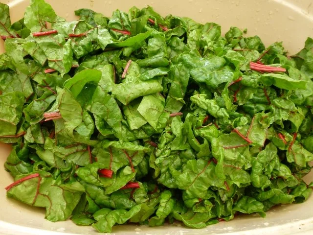 Grundrezept Mangold einfrieren - Rezept - Bild Nr. 7