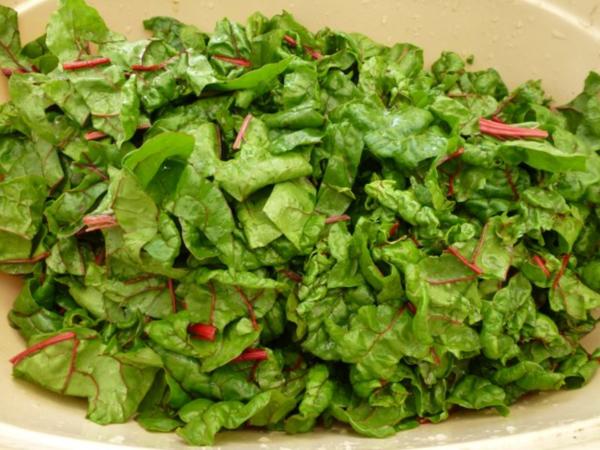 Grundrezept Mangold einfrieren - Rezept - kochbar.de Grundrezept Mangold einfrieren - Rezept - kochbar.de