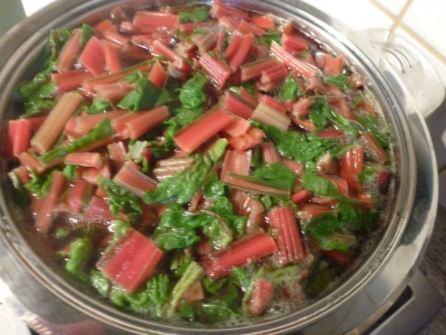 Grundrezept Mangold einfrieren - Rezept - Bild Nr. 8