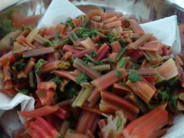 Grundrezept Mangold einfrieren - Rezept - Bild Nr. 10