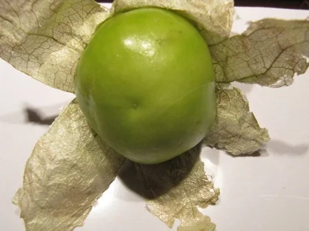 Rezept: Gurkensalat mit Tamarillo Bild Nr. 12 Gurkensalat mit Tamarillo - Rezept - Bild Nr. 12