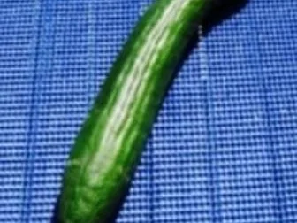 Rezept: Gurkensalat mit Tamarillo Bild Nr. 17 Gurkensalat mit Tamarillo - Rezept - Bild Nr. 17