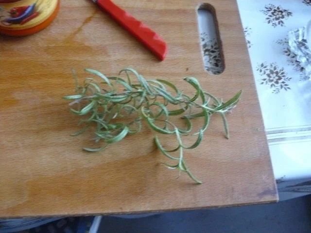 Rezept: Provenzialische Tomatensuppe Bild Nr. 13 Provenzialische Tomatensuppe - Rezept - Bild Nr. 13