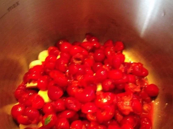 ~~~~~~~Ki-Ba Marmelade~~~~~~~~ - Rezept - Bild Nr. 5