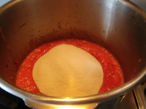 ~~~~~~~Ki-Ba Marmelade~~~~~~~~ - Rezept - Bild Nr. 8