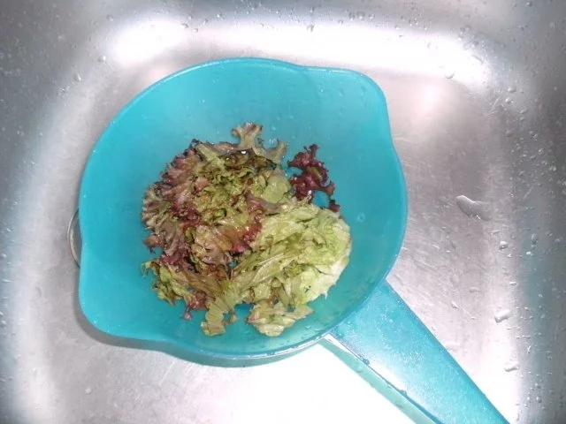 Lollo Rosso-Salat und Erbsensalat - Rezept - Bild Nr. 4