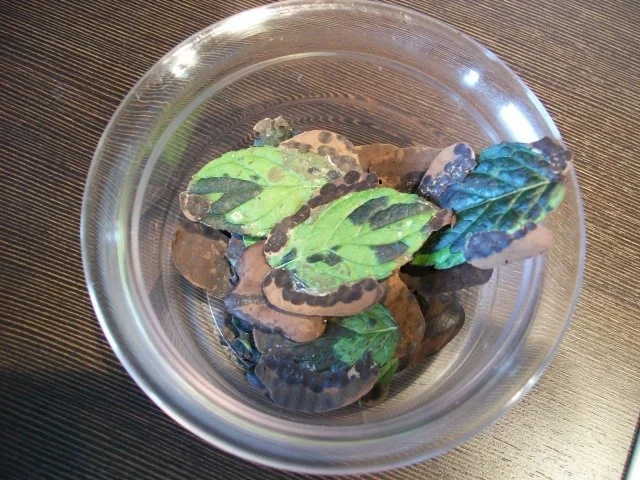 Pfefferminz Schokolade - Rezept