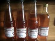 Party Hit: Rharbarber-Schnaps zum Geburtstag meiner Freundin :-) - Rezept