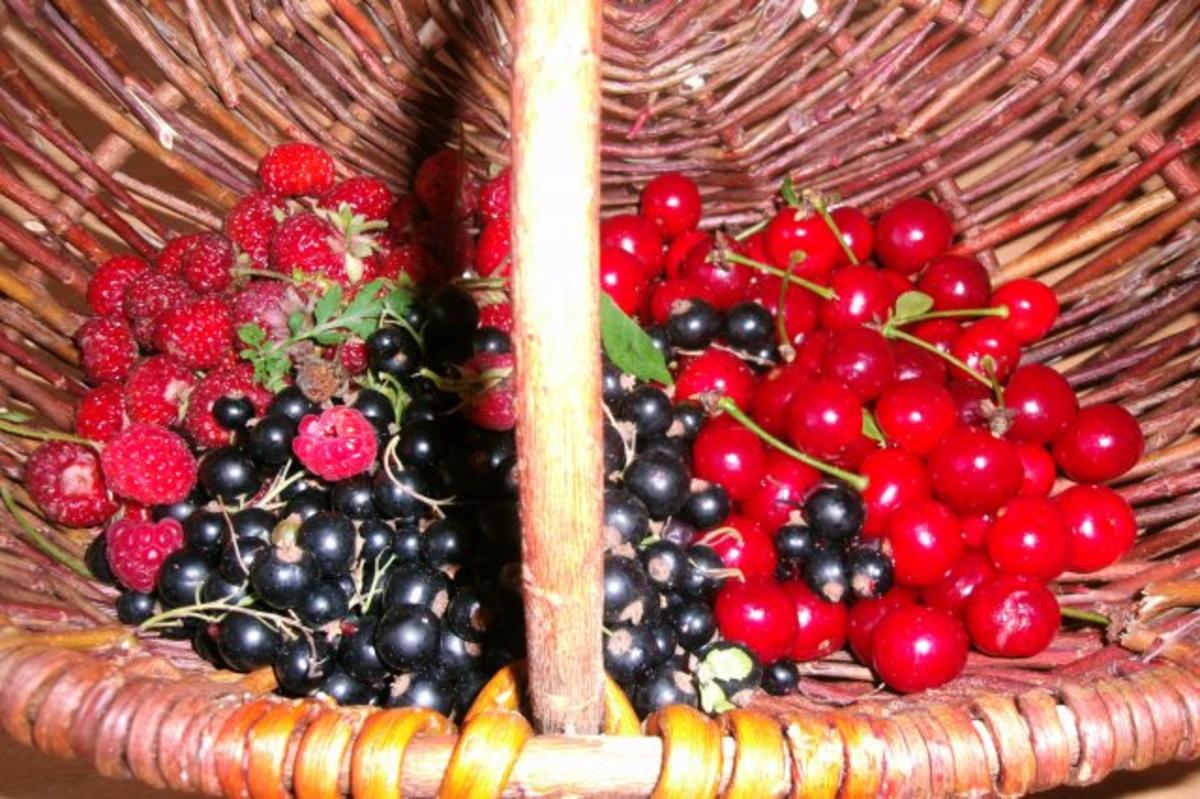 Rote Grütze aus frischem Obst mit Vanillesosse - Rezept - Bild Nr. 3