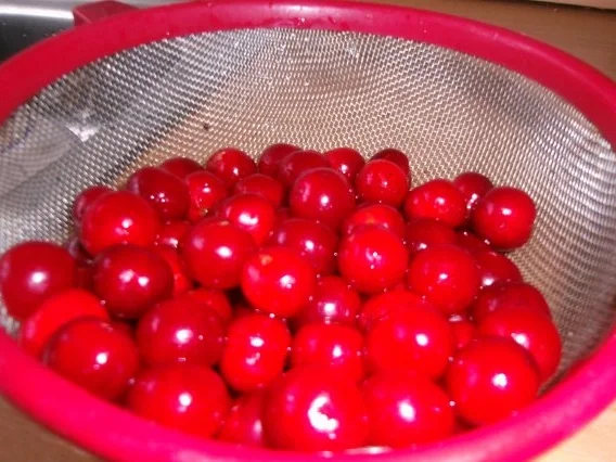 Rote Grütze aus frischem Obst mit Vanillesosse - Rezept - Bild Nr. 4