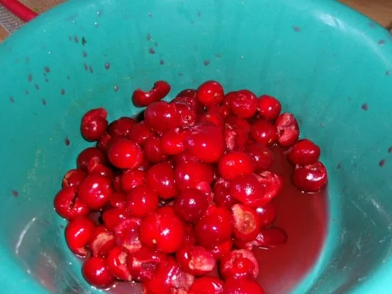 Rote Grütze aus frischem Obst mit Vanillesosse - Rezept - Bild Nr. 5