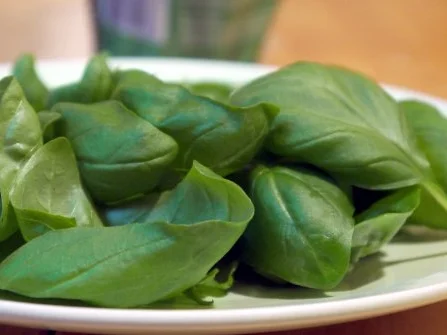 Büffelmozzarella mit Zitrone und gebratenem Basilikum - Rezept - Bild Nr. 2