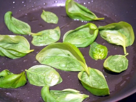 Büffelmozzarella mit Zitrone und gebratenem Basilikum - Rezept - Bild Nr. 3