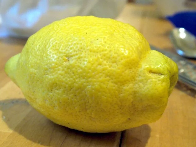 Büffelmozzarella mit Zitrone und gebratenem Basilikum - Rezept - Bild Nr. 4