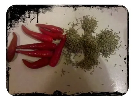 Rezept: Öl: Chiliöl mit Rosmarin Bild Nr. 3 Öl: Chiliöl mit Rosmarin - Rezept - Bild Nr. 3