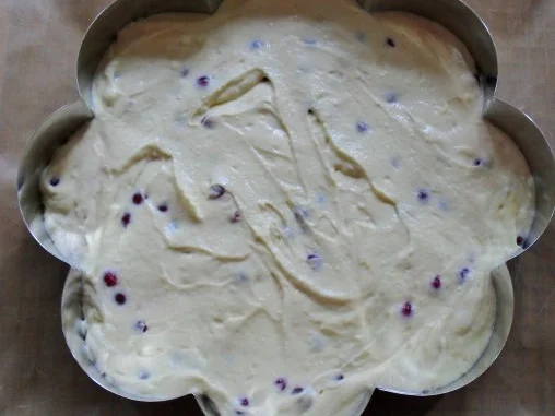 Rezept: Johannisbeer - Käsekuchen Bild Nr. 5 Johannisbeer - Käsekuchen - Rezept - Bild Nr. 5