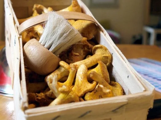 Pfifferling-Hähnchen-Pfanne - Rezept - Bild Nr. 2