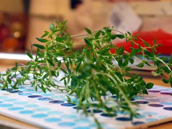 Pfifferling-Hähnchen-Pfanne - Rezept - Bild Nr. 4